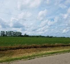 5XXX Lake Burgen Rd SE, Alexandria MN, 56308 land for sale