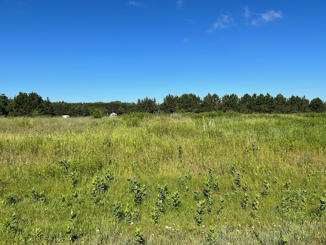1201UNIT53 Tyler Ave, Bemidji, MN 56601 - photo 5