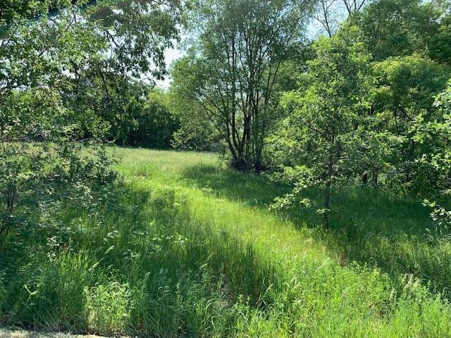 31208 Forest Blvd, Stacy MN, 55079 land for sale