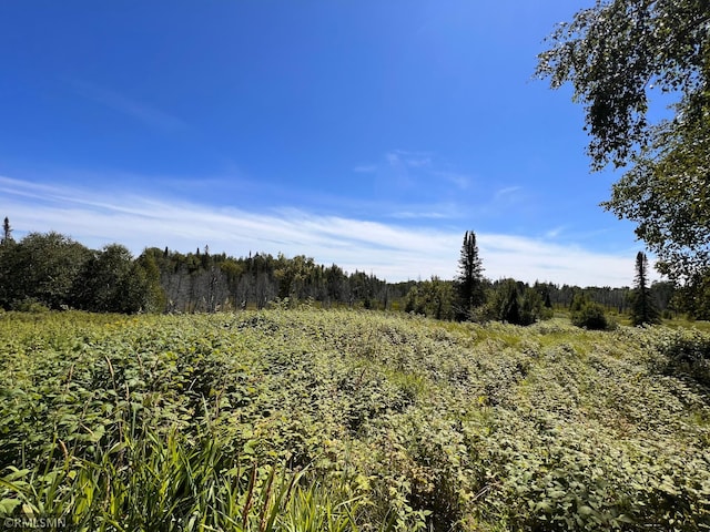 3228 Gods Wilderness Rd, Silver Creek Twp MN, 55614 land for sale