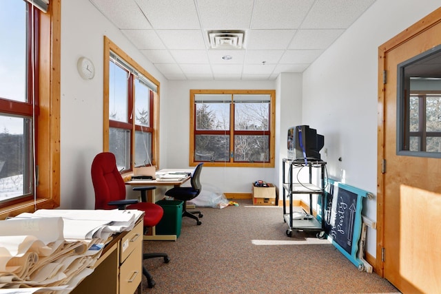 office area with carpet and a paneled ceiling