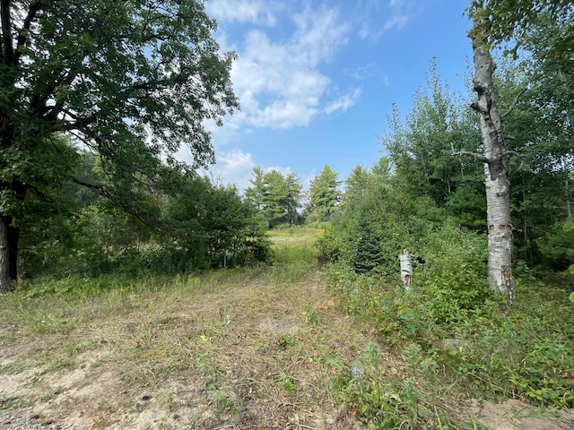 Listing photo 3 for TBD Camp Fish Rd NW, Akeley MN 56484