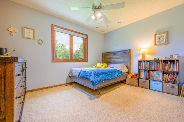 20474 196th Rd, Hutchinson, MN 55350 - photo 14