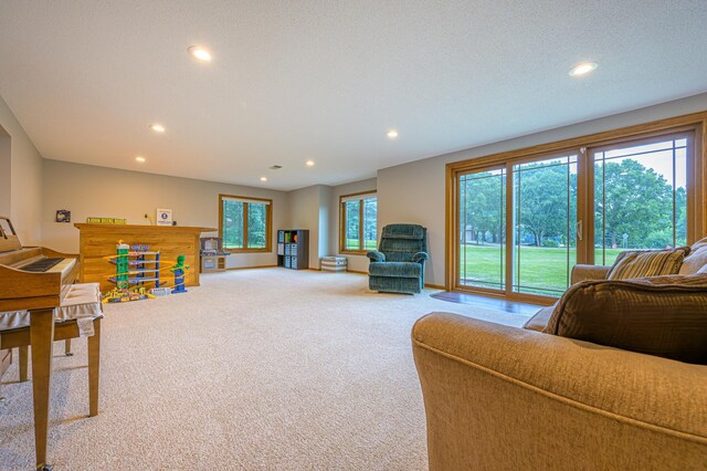 20474 196th Rd, Hutchinson, MN 55350 - photo 15