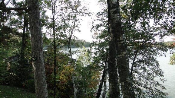 view of nature with a water view