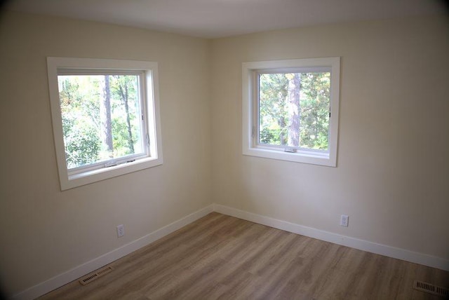 spare room featuring a healthy amount of sunlight and light wood-type flooring