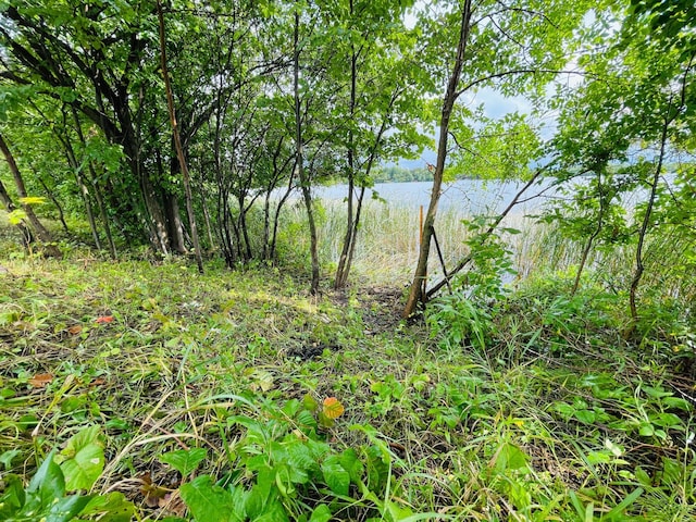 view of nature featuring a water view