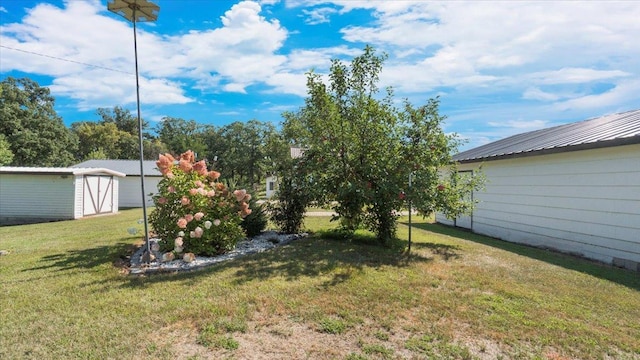 view of yard featuring a shed