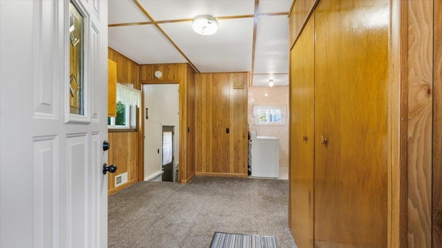 bathroom with plenty of natural light and wooden walls