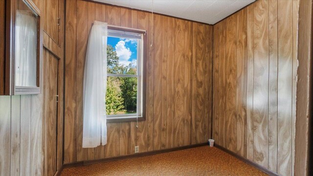 spare room featuring wooden walls and carpet floors