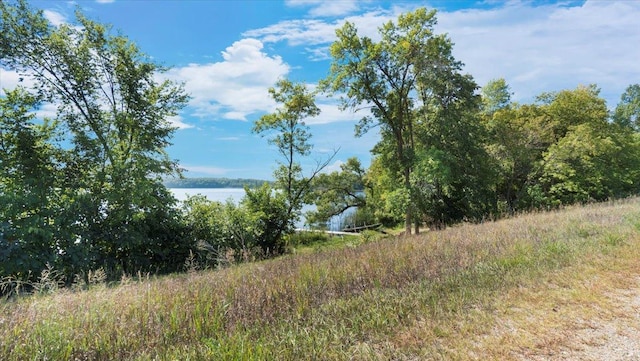 view of landscape with a water view