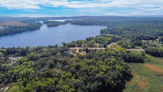 bird's eye view with a water view