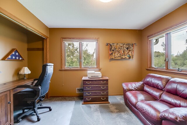 Listing photo 43 - caption unavailable