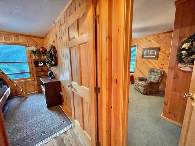 29724 387th St, Waubun, MN 56589 - hall featuring wood walls, a textured ceiling, and baseboards