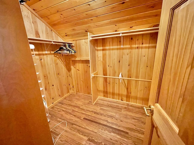 29724 387th St, Waubun, MN 56589 - spacious closet with wood finished floors and lofted ceiling