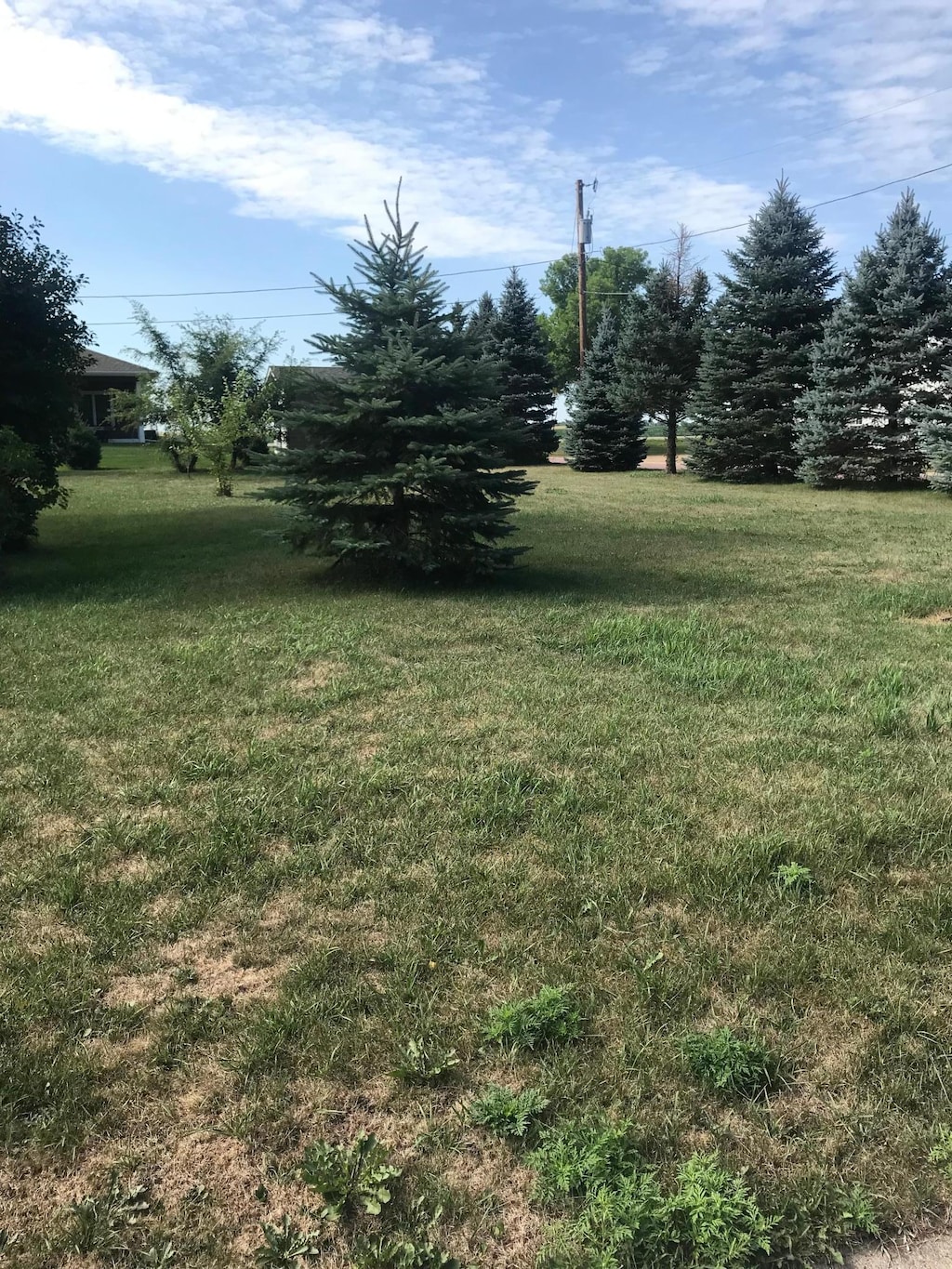 29 Spruce St, Tracy, MN 56175