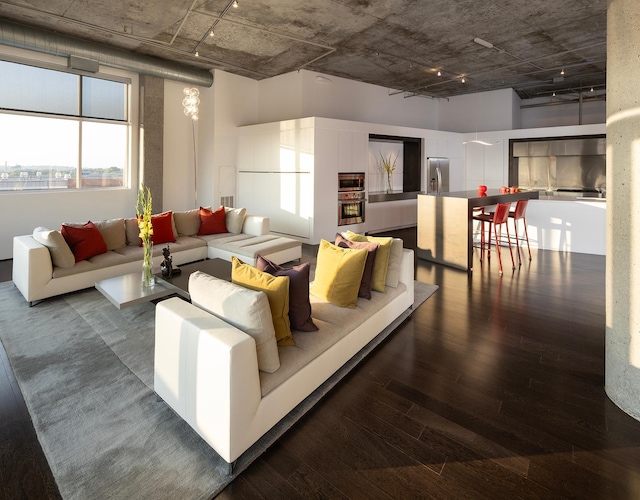 living room with dark wood-type flooring