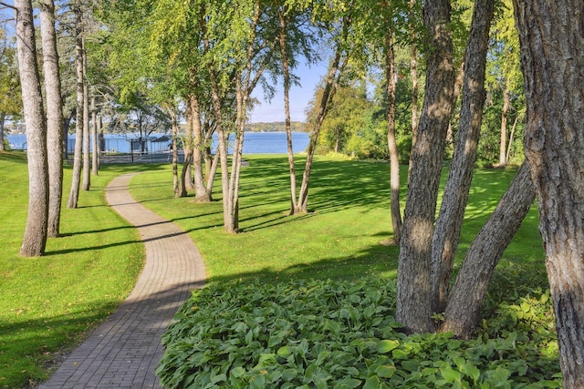 17950 Breezy Point Rd, Woodland, MN 55391 - view of property's community with a water view and a lawn