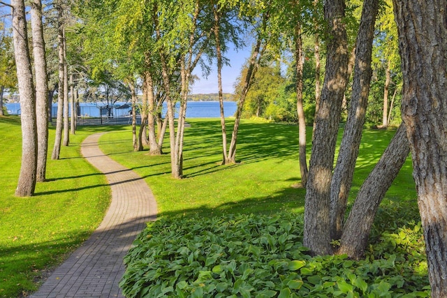 17950 Breezy Point Rd, Woodland, MN 55391 - view of community with a water view and a lawn