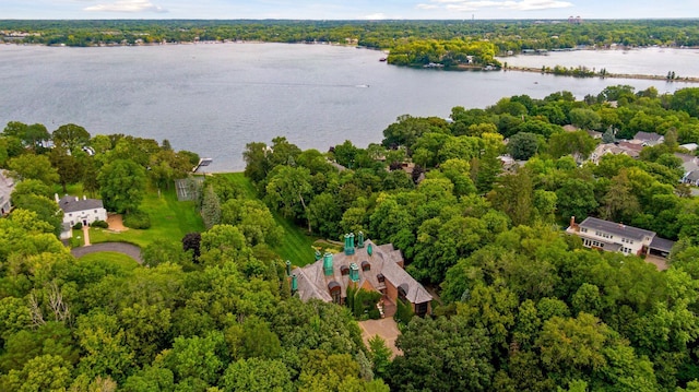 17950 Breezy Point Rd, Woodland, MN 55391 - bird's eye view of a large body of water and a heavily wooded area