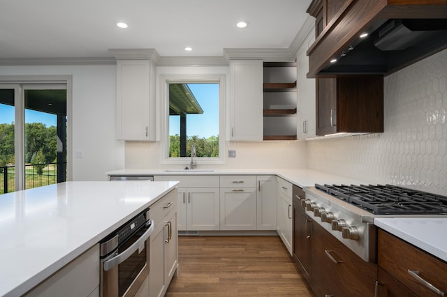 kitchen featuring appliances with stainless steel finishes, tasteful backsplash, custom exhaust hood, and plenty of natural light