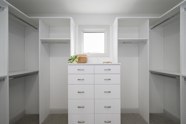 view of walk in closet