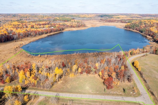 12190 Spring Rd SW, Sylvan Twp MN, 56473 land for sale