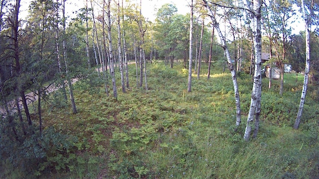 Listing photo 2 for TBD Cedar St, Breezy Point MN 56472