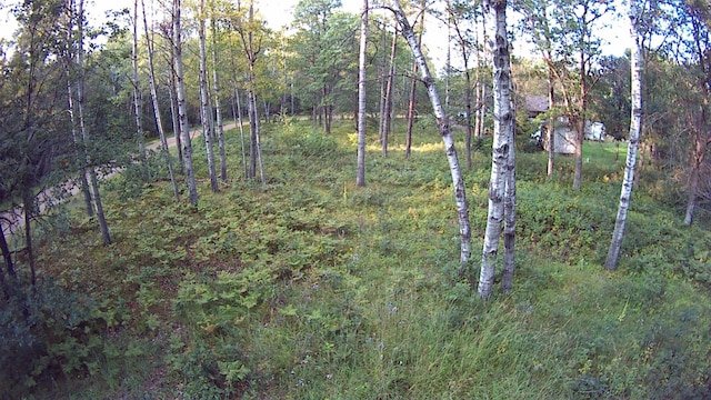 Listing photo 3 for TBD Cedar St, Breezy Point MN 56472