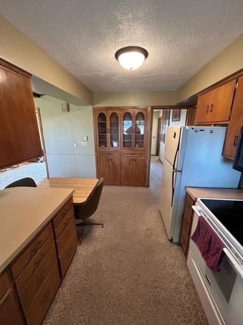 306 9th St, Westbrook, MN 56183 - kitchen featuring a textured ceiling, electric range, brown cabinetry, light carpet, and wainscoting