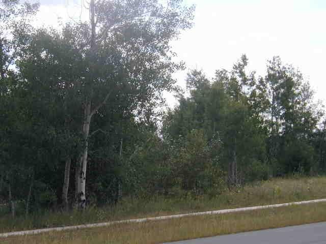 24 Mulberry Ln, Babbitt MN, 55706 land for sale