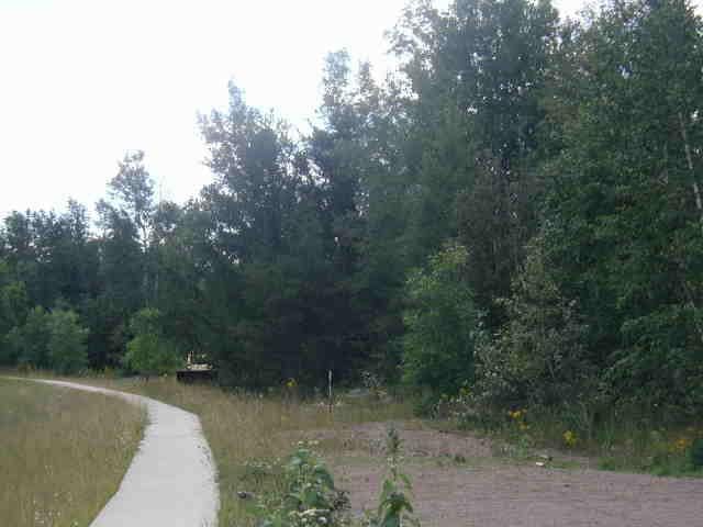 26 Mulberry Ln, Babbitt MN, 55706 land for sale