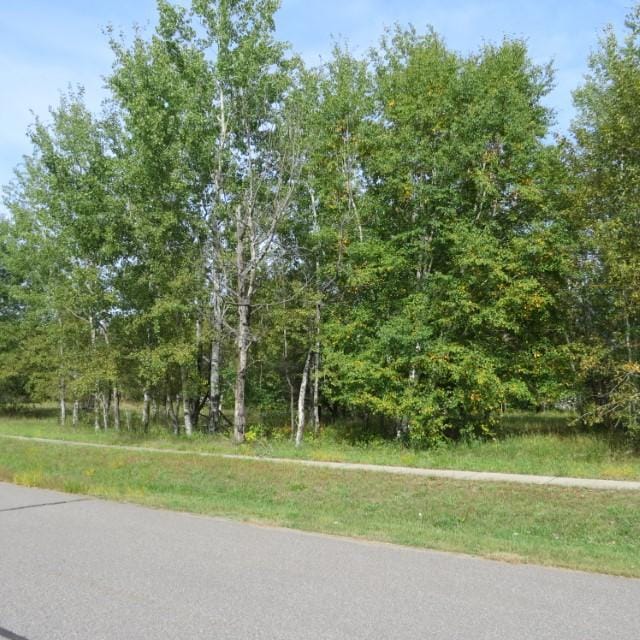 17 Mulberry Ln, Babbitt MN, 55706 land for sale