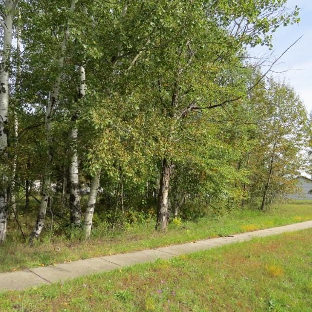 19 Mulberry Ln, Babbitt MN, 55706 land for sale