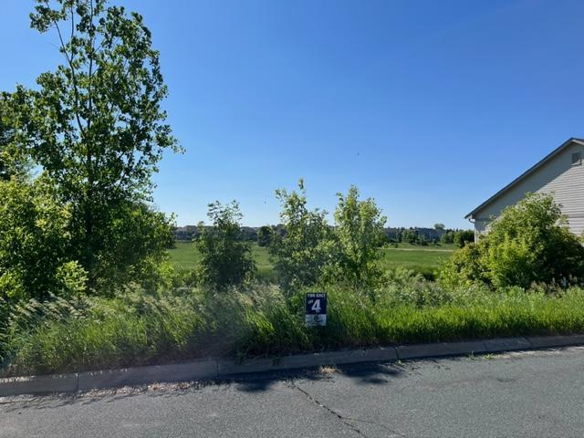 LOT4 Meander Ct, Medina, MN 55340 - photo 3