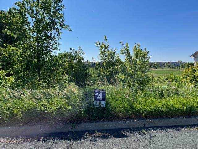 LOT4 Meander Ct, Medina, MN 55340 - photo 4