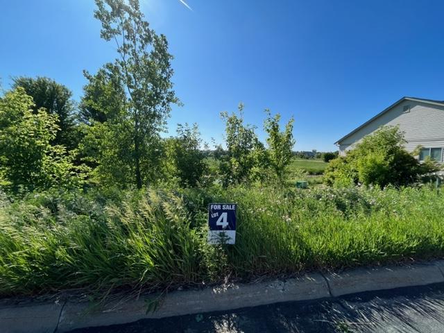 LOT4 Meander Ct, Medina, MN 55340 - photo 12