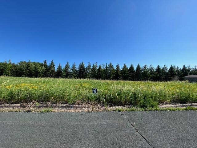 LOT6 Meander Ct, Medina, MN 55340 - photo 3