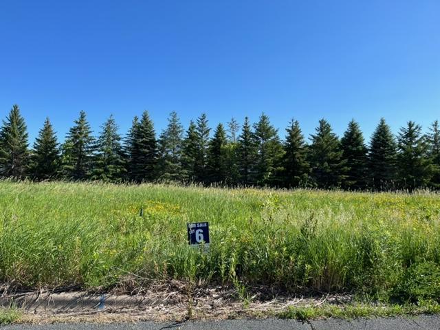 LOT6 Meander Ct, Medina, MN 55340 - photo 4