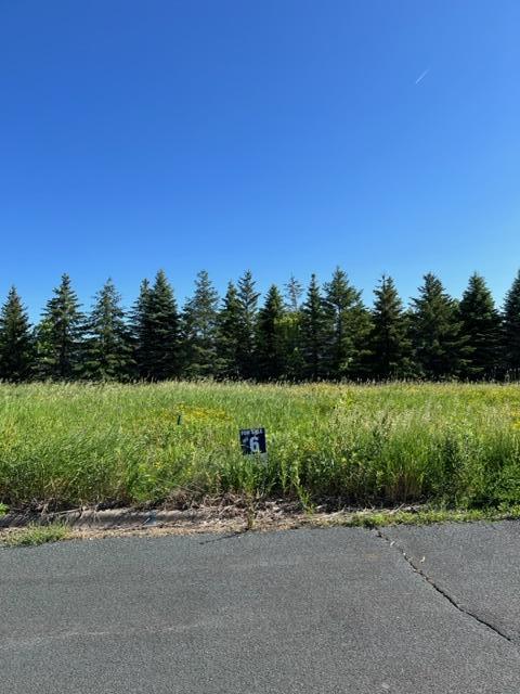 LOT6 Meander Ct, Medina, MN 55340 - photo 5