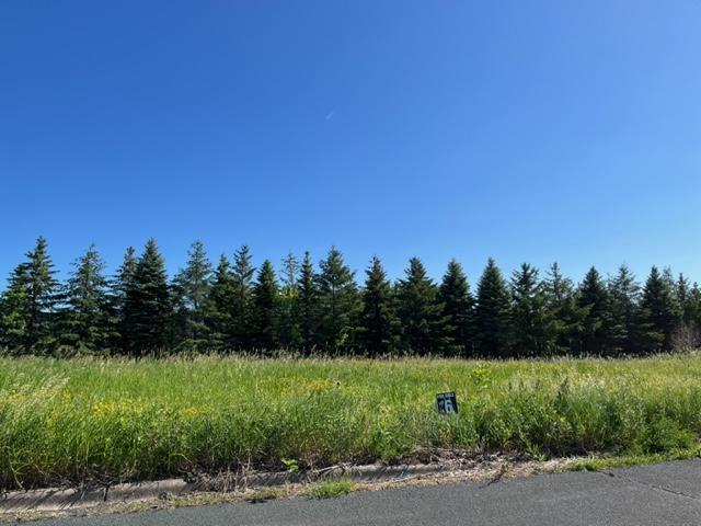 LOT7 Meander Ct, Medina, MN 55340 - photo 4