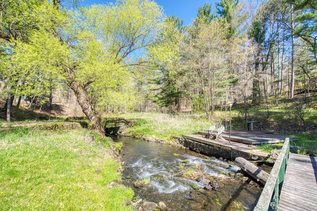 view of yard featuring a dock