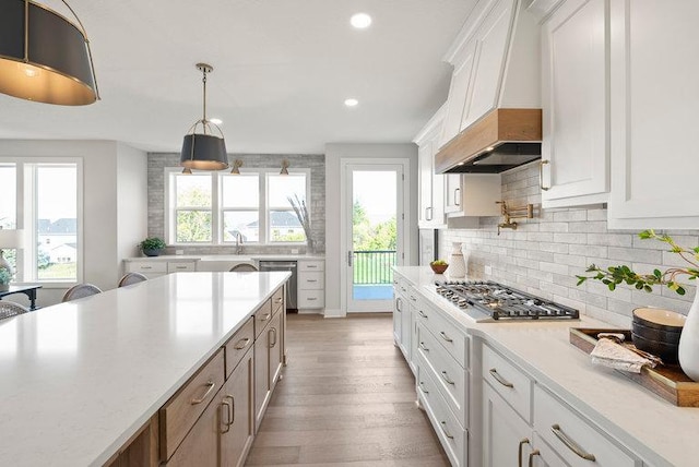 kitchen with stainless steel appliances, premium range hood, plenty of natural light, and backsplash