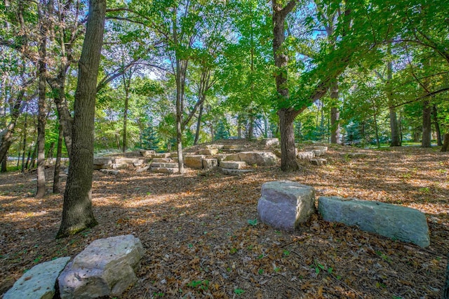 1 Capaul Woods Ct, North Oaks, MN 55127 - view of yard
