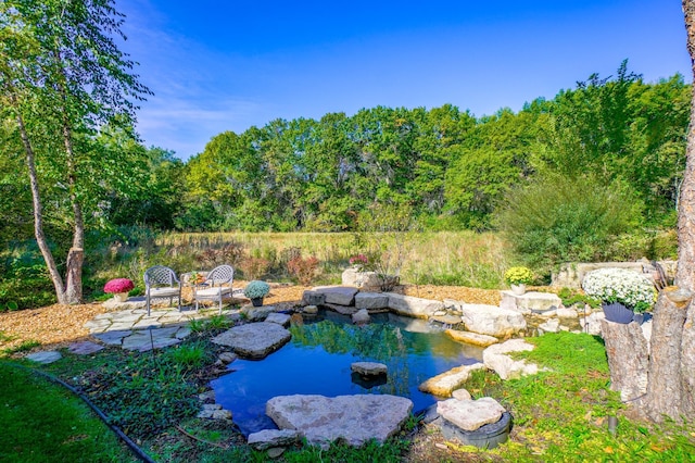 1 Capaul Woods Ct, North Oaks, MN 55127 - view of yard featuring a small pond and a patio area