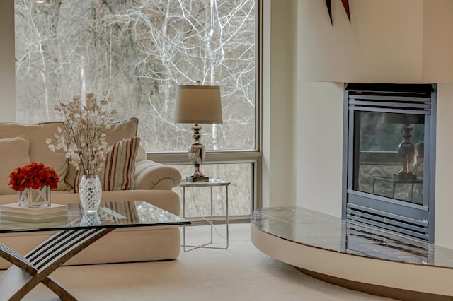 living area featuring carpet