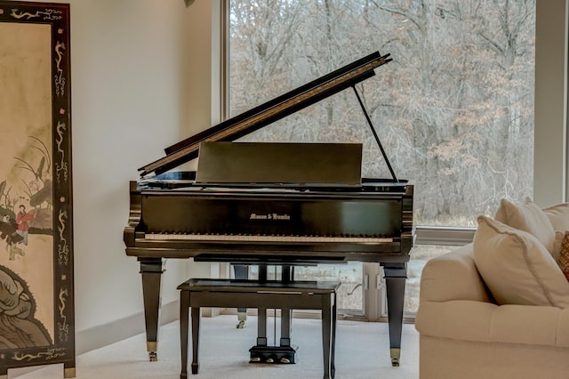 1 Capaul Woods Ct, North Oaks, MN 55127 - sitting room with carpet floors