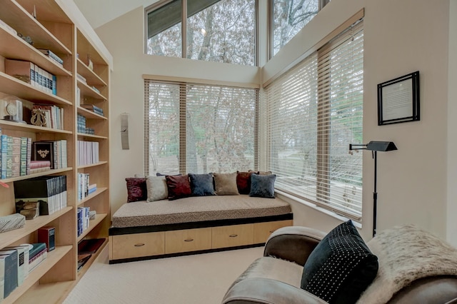 sitting room featuring a wealth of natural light