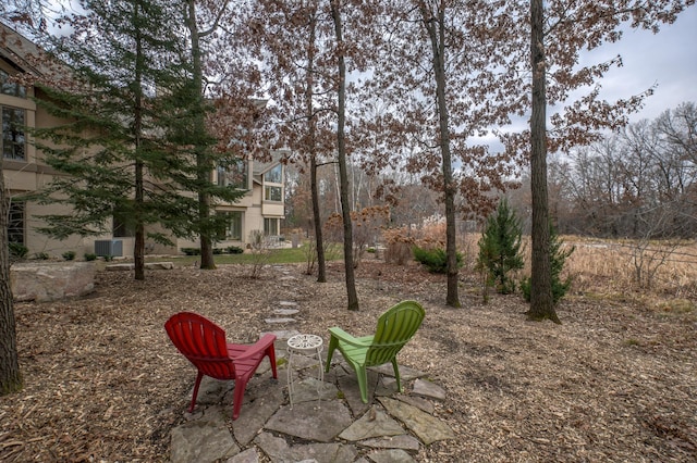 view of yard featuring a patio area