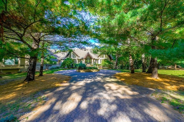 1 Capaul Woods Ct, North Oaks, MN 55127 - view of front of property featuring decorative driveway